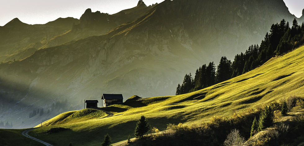 Imprentas y archivos de texto. Lorem Ipsum ha sido